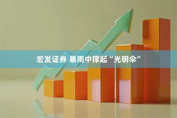 宏发证券 暴雨中撑起“光明伞”