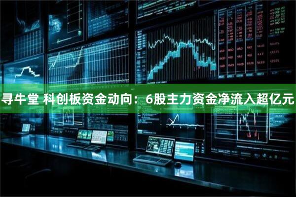 寻牛堂 科创板资金动向：6股主力资金净流入超亿元