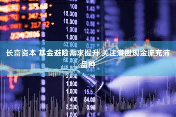 长富资本 基金避险需求提升 关注港股现金流充沛品种